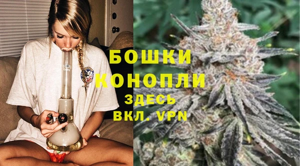 ГАЛЛЮЦИНОГЕННЫЕ ГРИБЫ Алексеевка