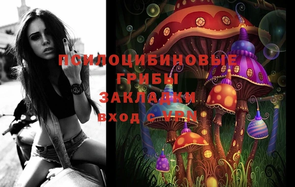 винт Алексин