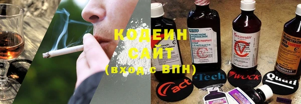 ГАЛЛЮЦИНОГЕННЫЕ ГРИБЫ Алексеевка